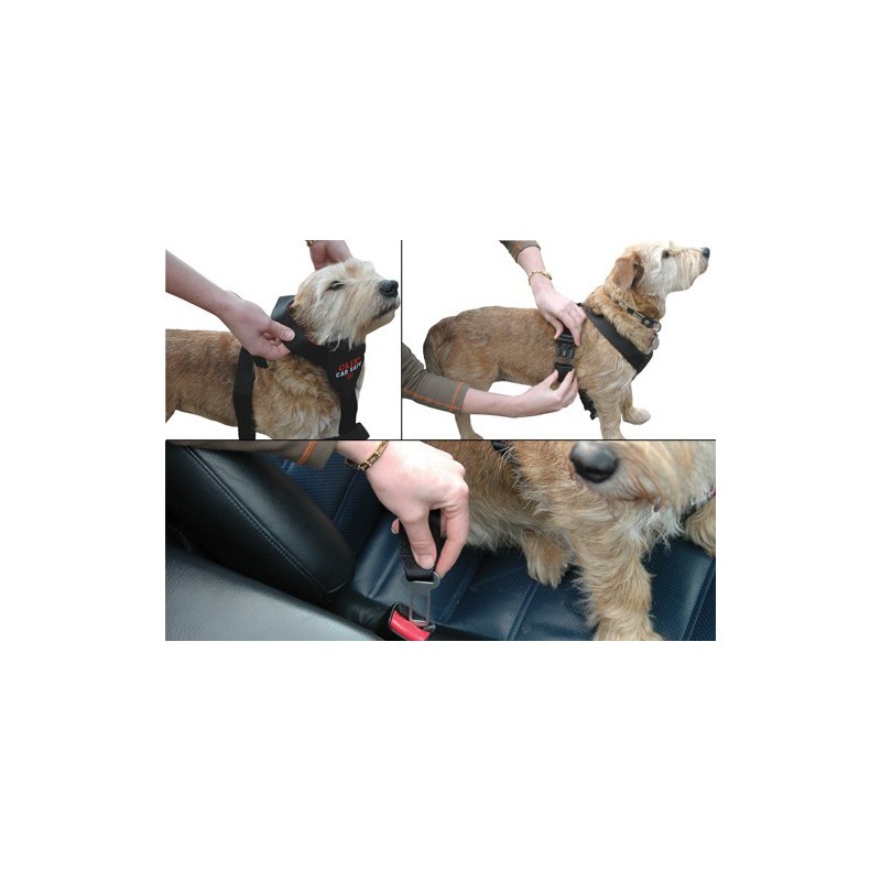 Harnais transport en voiture CarSafe pour chien